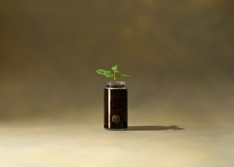 A Curated Collection of Sustainable Choices in Canary Wharf