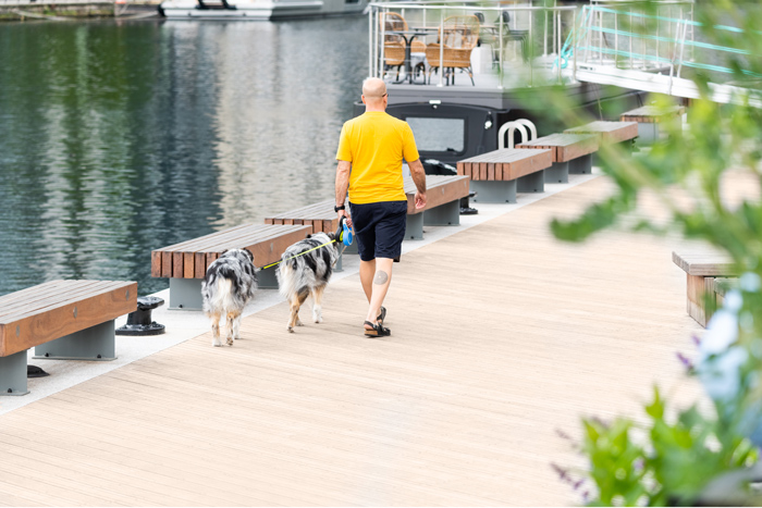 Taking the dogs out for a walk on the dock