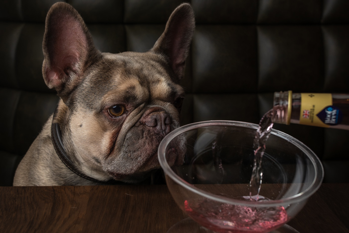Dog-friendly food and drink destinations
