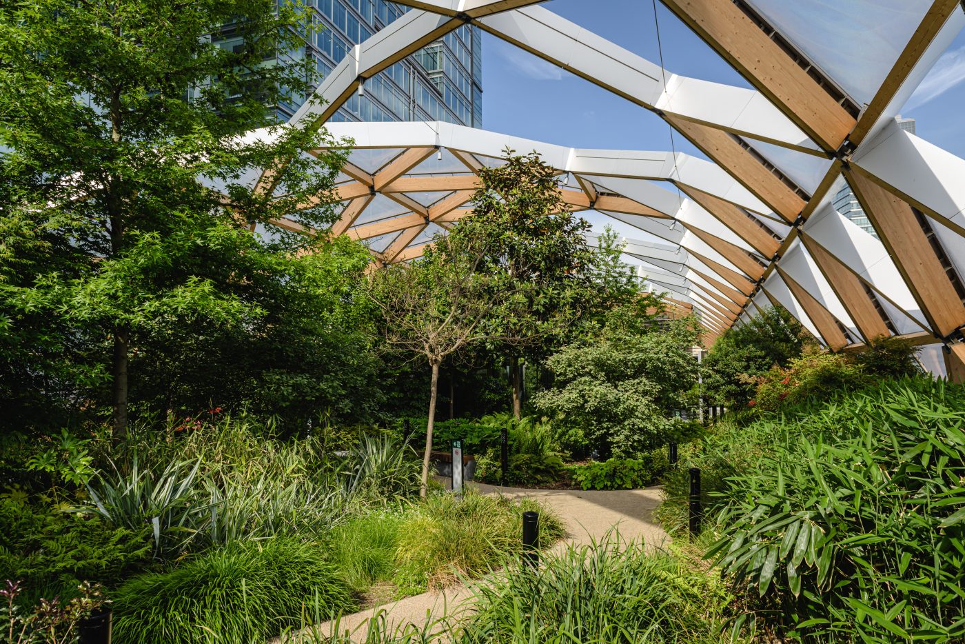 Roofgarden